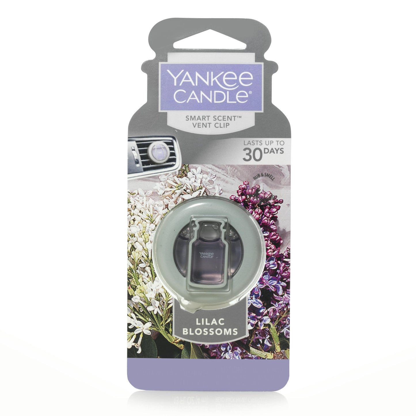 Lilac Blossoms c59k8 zfbgh