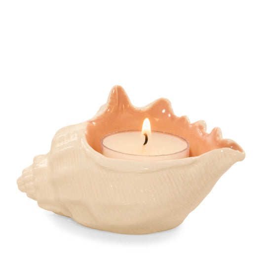 Seashell Tea Light Candle Holder k7cwk ra3hn