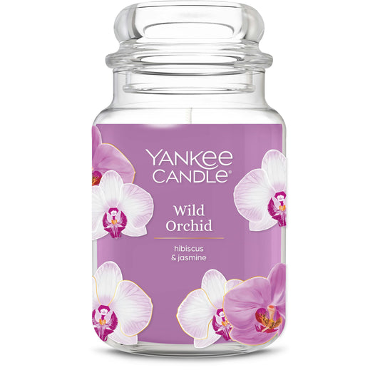 Wild Orchid n8yta vyjez