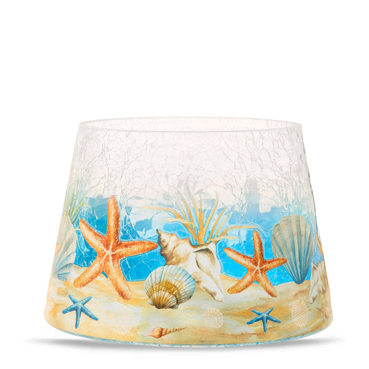 Seashell Jar Shade tryn3 6x84y