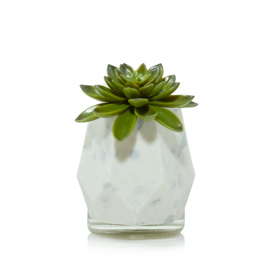 Faceted Succulent ScentPlug® Diffuser with Light wx9ak nfytu